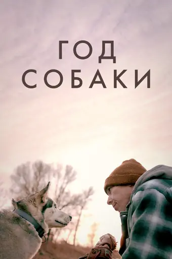  Год собаки 