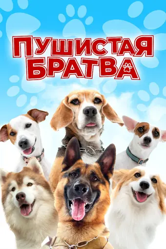  Пушистая братва 