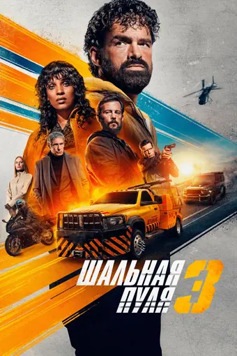  Шальная пуля 3 