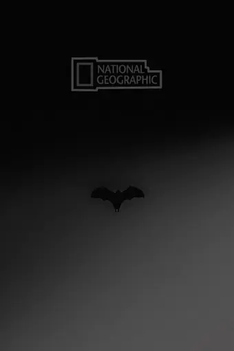  Мистер и миссис Смит 