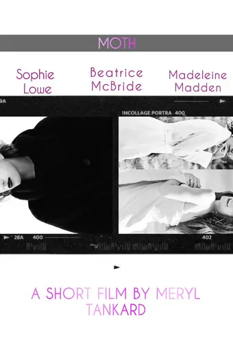  Провинциал 