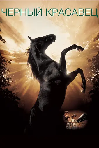  Черный красавец 