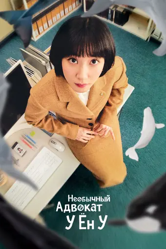  Необычный адвокат 