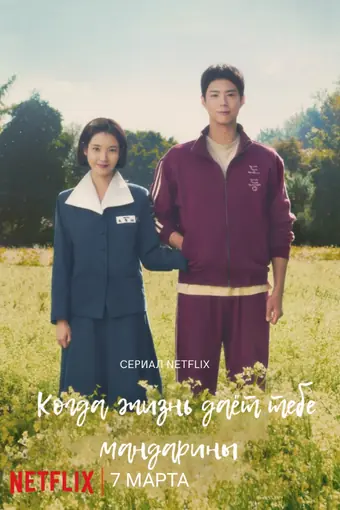  Когда жизнь даёт тебе мандарины 