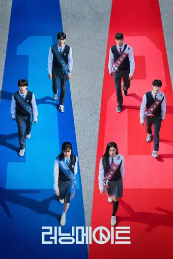  Напарник на выборах 