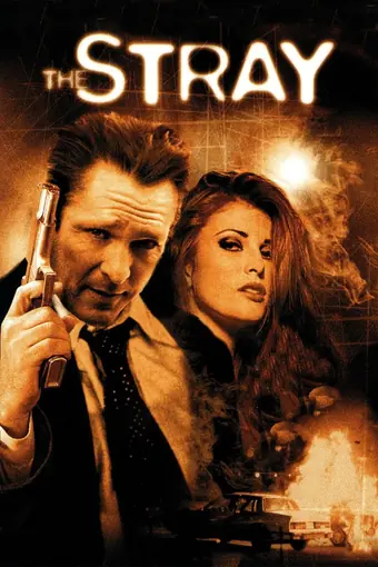  Жестокий мир мужчин 