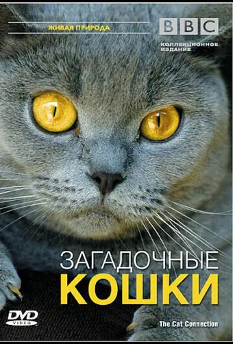  BBC: Загадочные кошки 