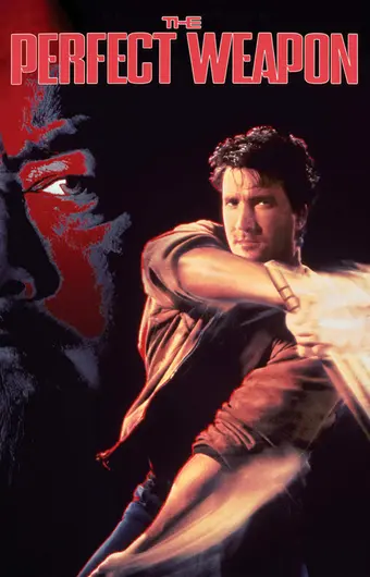  Совершенное оружие 