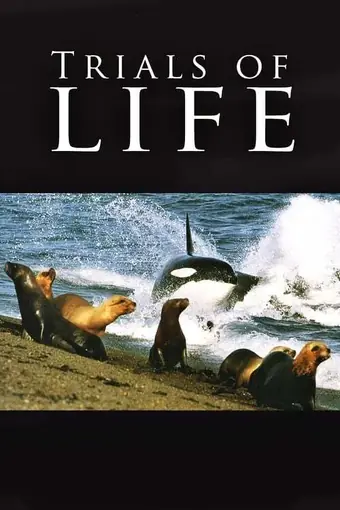  BBC: Борьба за выживание 