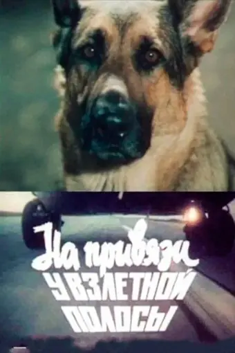  На привязи у взлетной полосы 