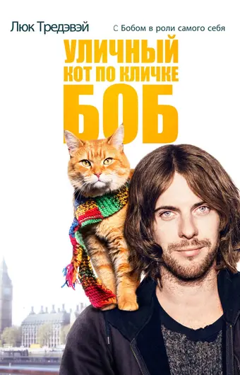  Уличный кот по кличке Боб 