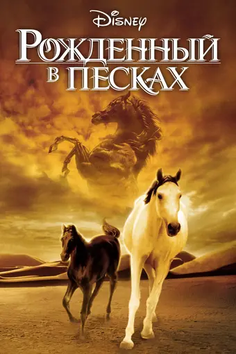  Рожденный в песках 