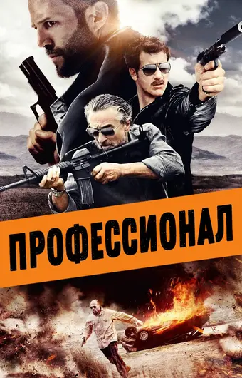  Профессионал 