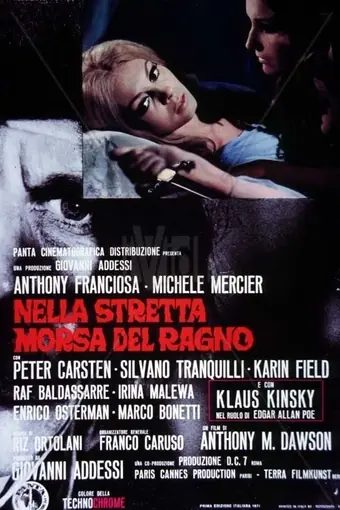  В объятиях паука 