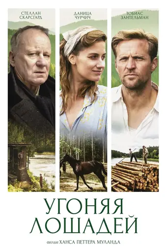  Угоняя лошадей 