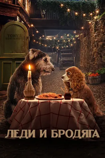  Леди и Бродяга 