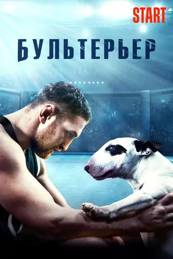  Бультерьер 