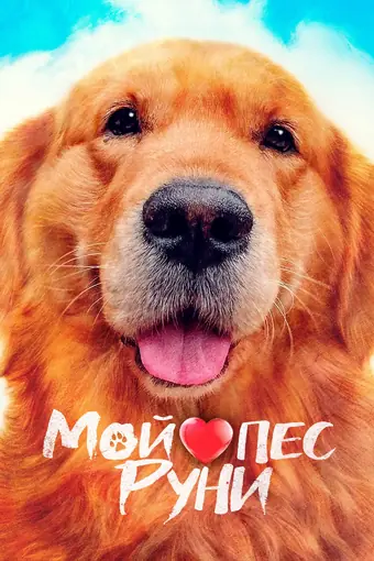  Мой пёс Руни 