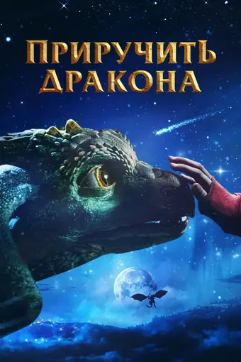  Приручить дракона 