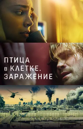  Птица в клетке. Заражение 