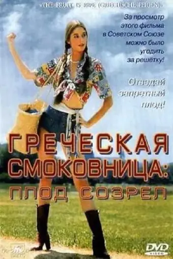  Греческая смоковница 