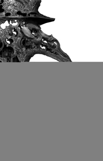  Венецияфрения 