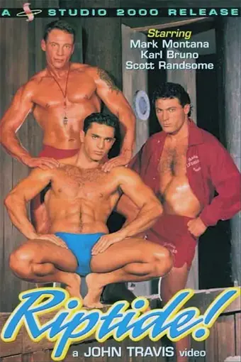  Наследный принц 