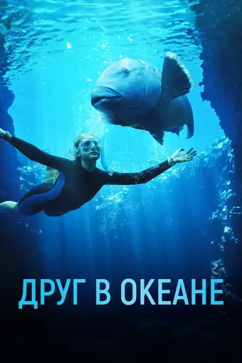  Друг в океане 