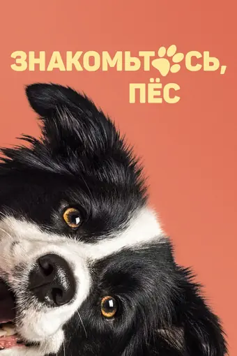 Знакомьтесь, пёс 