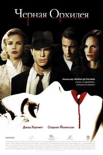  Черная орхидея 