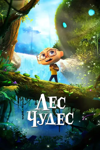  Лес чудес 