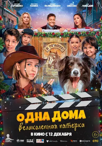  Одна дома: Великолепная пятерка 