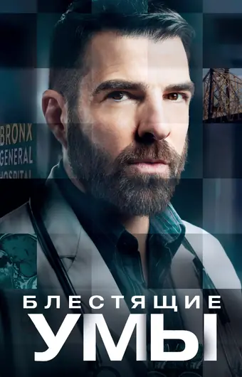  Блестящие умы 