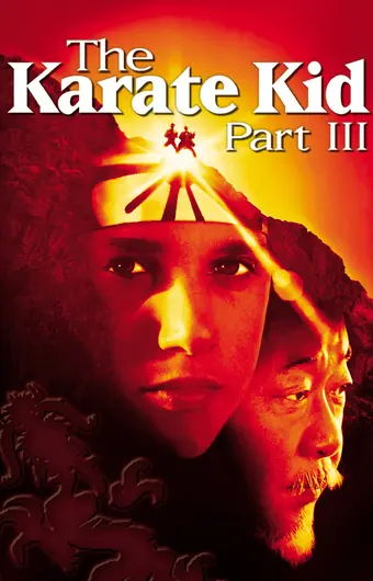 Парень-каратист 3 