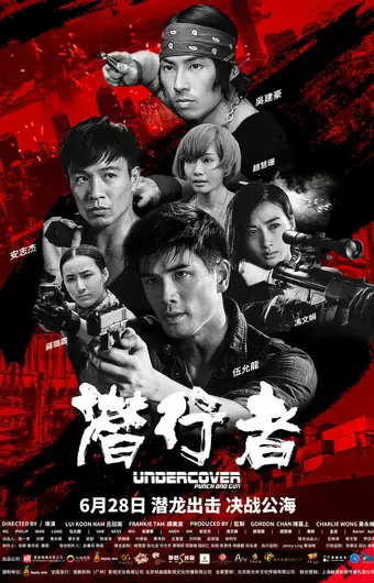 Под прикрытием: Удар и пистолет