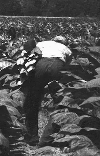 Беар Гриллс: Охота на знаменитостей