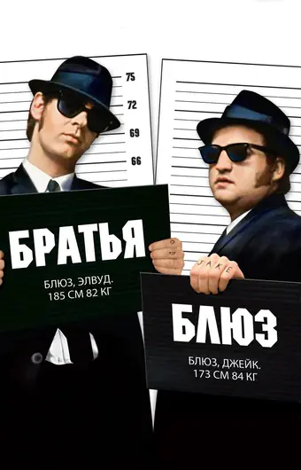  Братья Блюз 