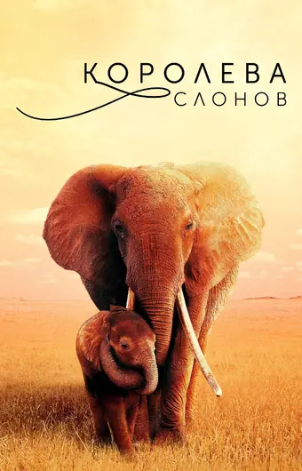  Королева слонов 