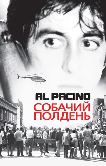  Собачий полдень 