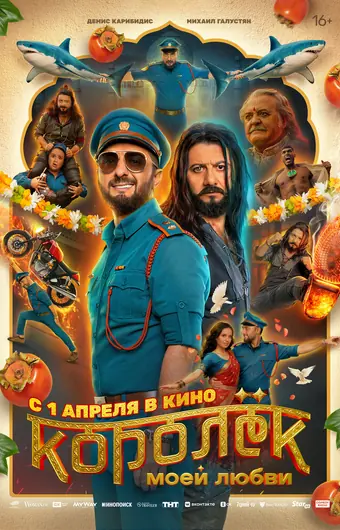  Королёк моей любви 